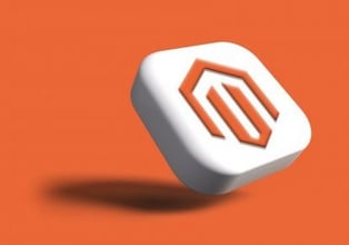 Selling on Magento & Wayfair - Blog Shoppingfeed